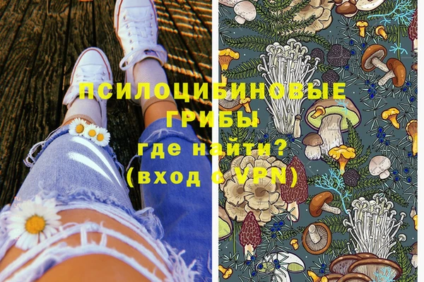 гидра Алексеевка