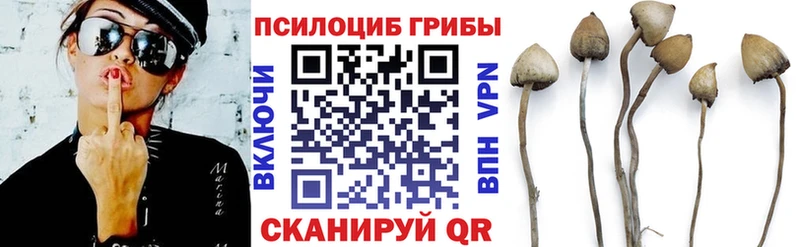 Псилоцибиновые грибы ЛСД  наркотики  Кашира 