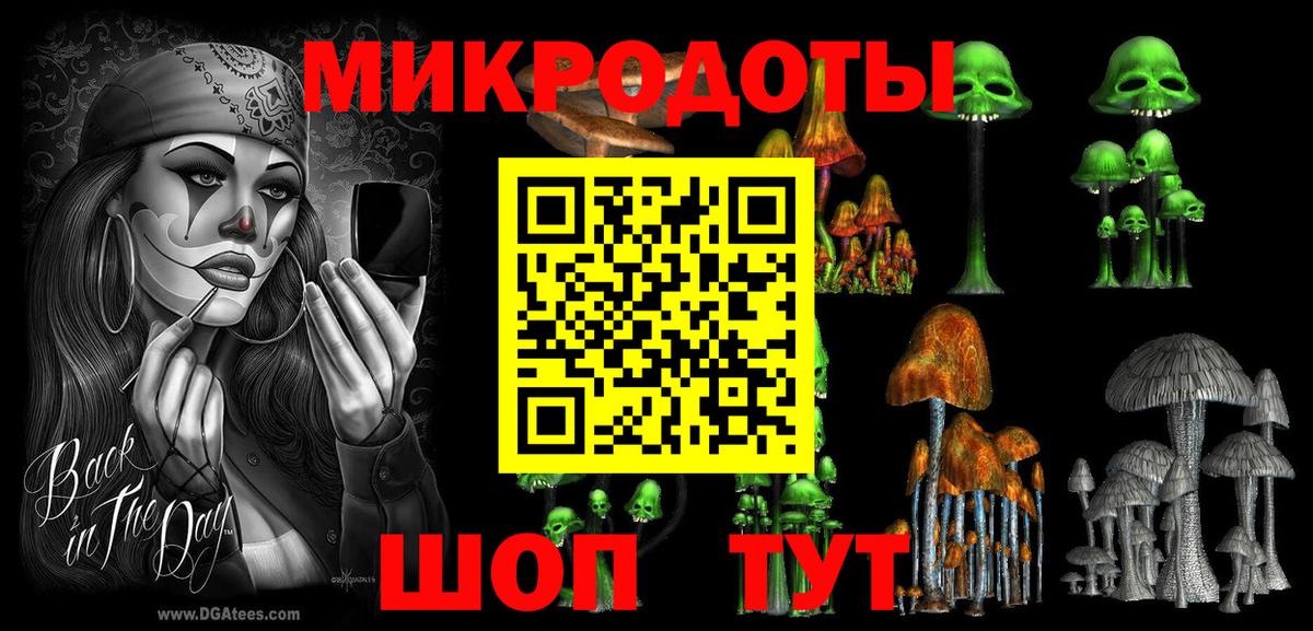 Галлюциногенные грибы Psilocybine cubensis  Вход с VPN  Кашира 