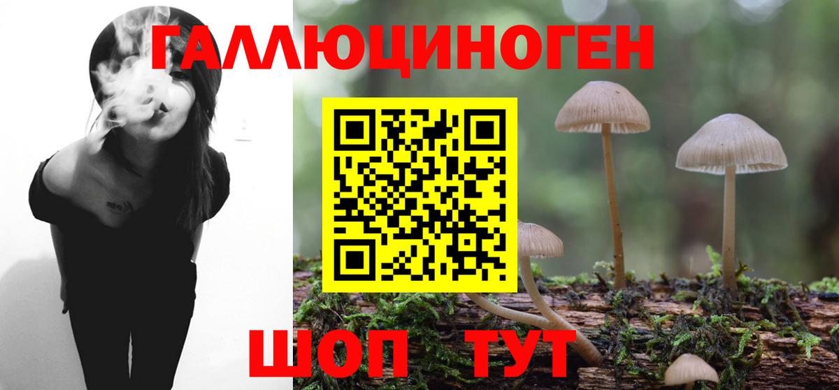 Псилоцибиновые грибы GOLDEN TEACHER Кашира